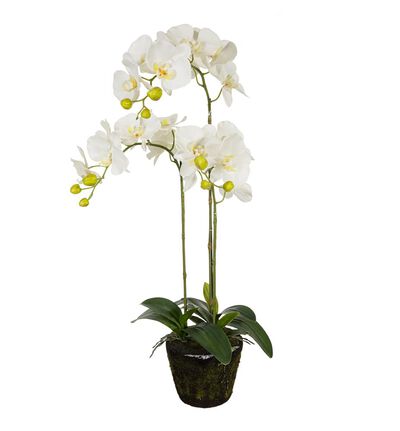 Kunstig hvit orkide